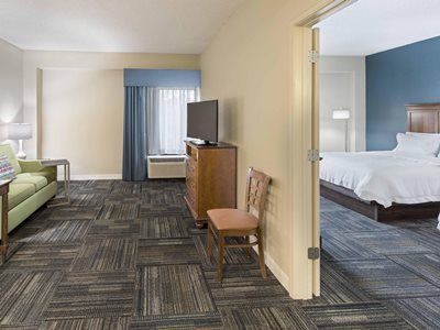 Hotel Hampton Atlanta-stone Mountain Stone Mountain